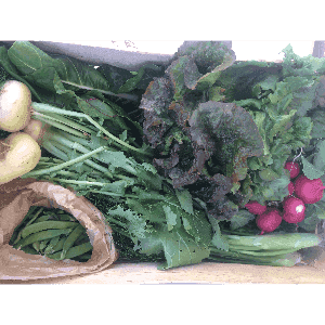 Grand panier - assortiment de légumes ultra frais de saison