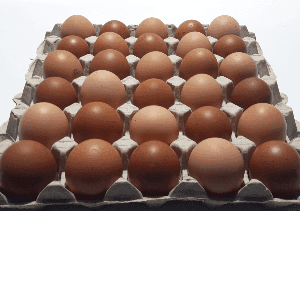 plaque de 30 œufs