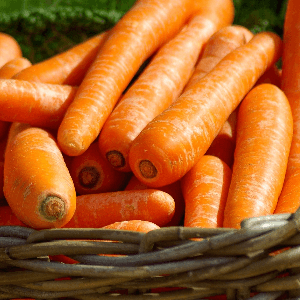 carotte vrac