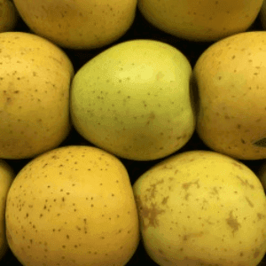 Pomme jaune