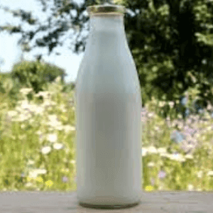 lait cru entier fermier de vaches bouteille en verre