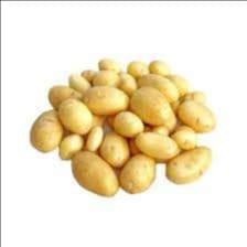 Pommes de terre nouvelles (délicatesse)