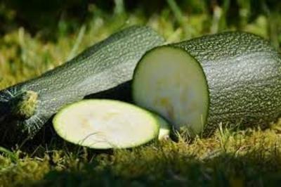 COURGETTTES GROS CALIBRES
