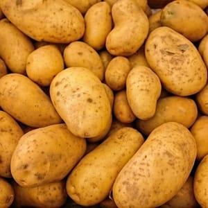 Pommes de terre TWINNER (CF)