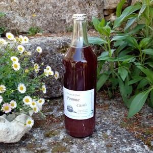 Jus Pomme-Cassis