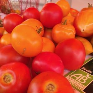 Tomates Plein Champs BIO