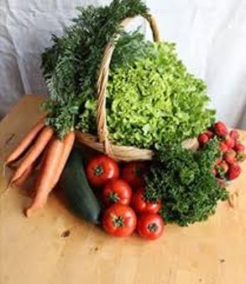 Panier de légumes petit format