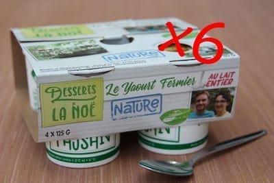 Panier 6 packs yaourts natures
