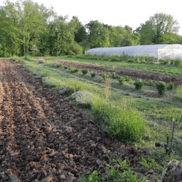 Ferme du Trèfle Rouge Ferme du Trèfle Rouge #4