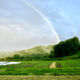 Chez Pitchou Pierre Chez Pitchou Pierre #4