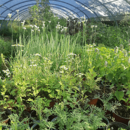 Ferme du Trèfle Rouge Ferme du Trèfle Rouge #2