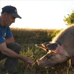 GAEC CASSAGNET GAEC CASSAGNET #7