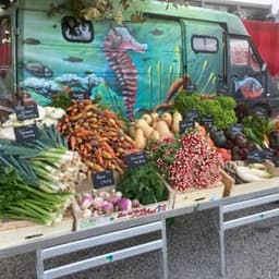 Chez Pitchou Pierre Chez Pitchou Pierre #6