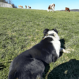 GAEC Vach'mont Bio GAEC Vach'mont Bio #4