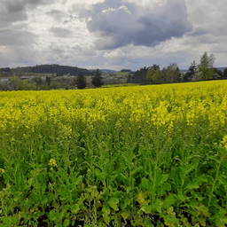 GAEC Vach'mont Bio GAEC Vach'mont Bio #5