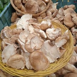 Ferme les loumagnes Ferme les loumagnes #4