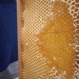 Fromagerie du Merle Moqueur Fromagerie du Merle Moqueur #8