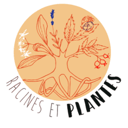 Racines et Plantes #1