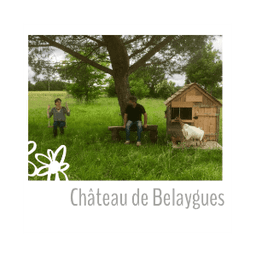 Château de Belaygues #4