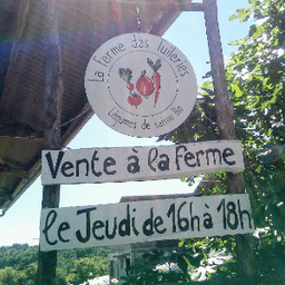 Logo de La Ferme des Tuileries - Vente à la ferme