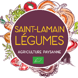 Logo de St-Lamain Légumes - Notre production du moment - Légumes