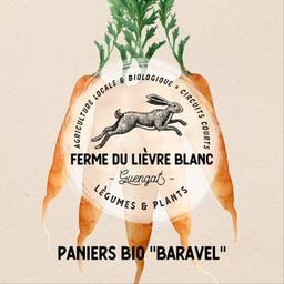 Logo de Paniers bio "Baravel"