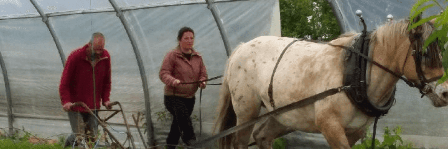 Bannière de Burlaud Jérémy