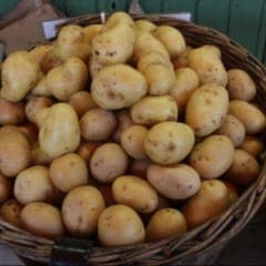 Pomme de terre origine Dracy St Loup