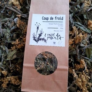 Tisane « Coup de froid »