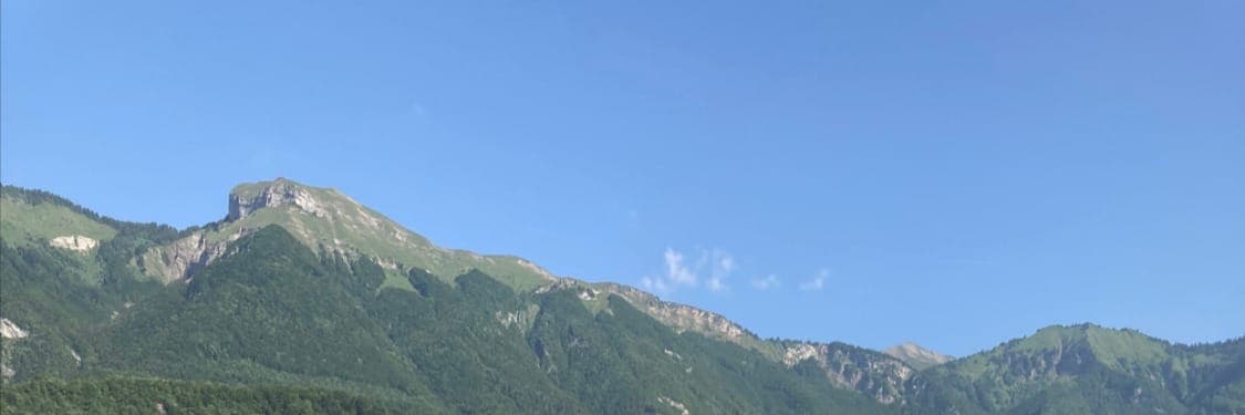 Bannière de Coquelicot & Coccinelle