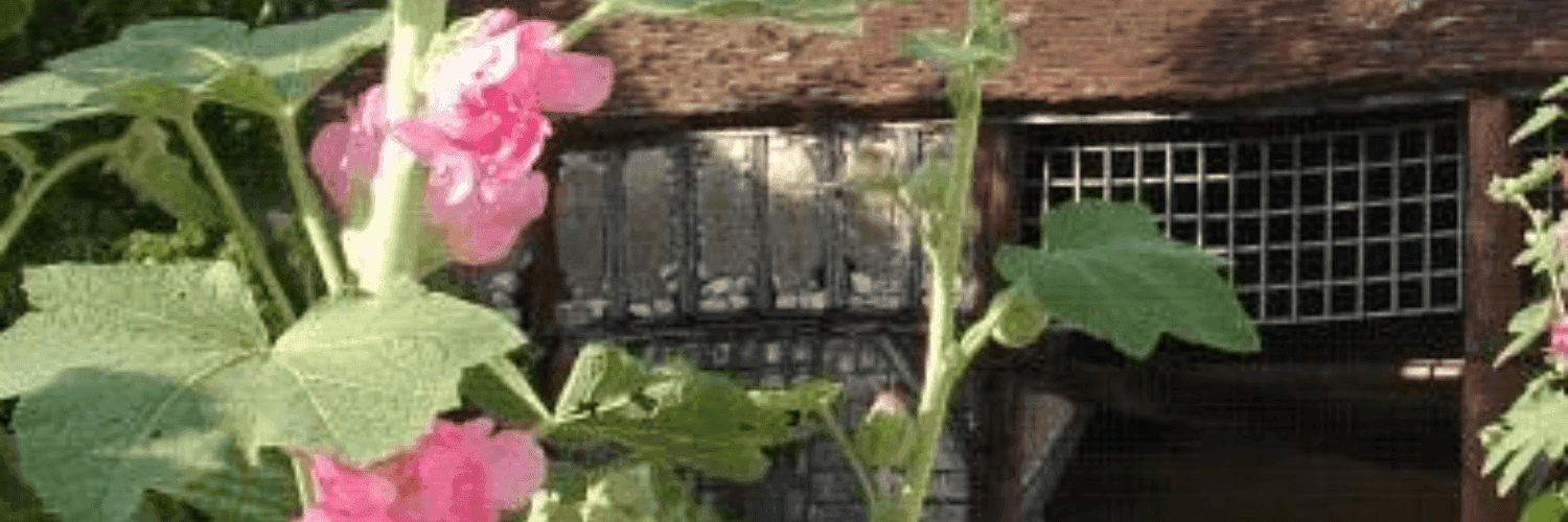 Bannière de Ferme de Champbertrand