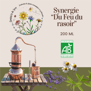 Synergie du feu du rasoir
