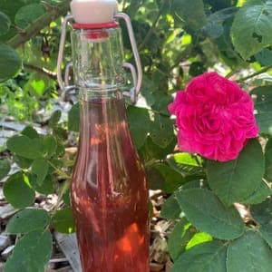 Sirop de rose