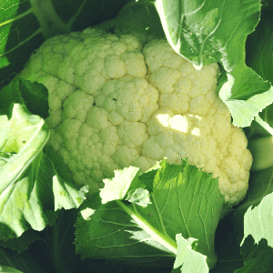 Chou-fleur