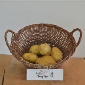 pomme de terre mona lisa