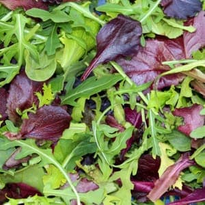 mesclun