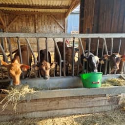 Gaec la ferme du grand patis #7