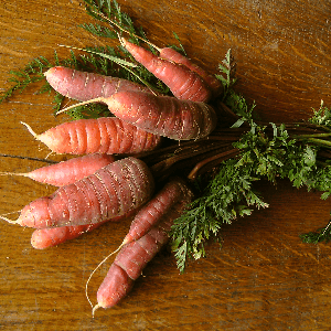 Carottes vrac