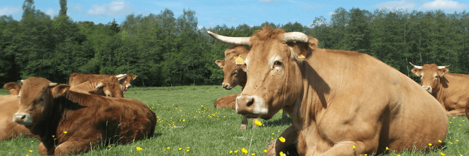 Bannière de gaec bio villemin
