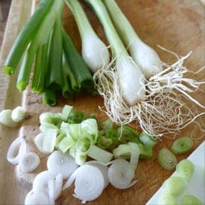 Oignons blancs en botte