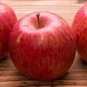 Pommier "Fuji" / Scion sur 106.