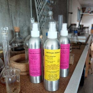 Hydrolat de laurier noble