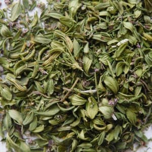 AROMATE VALSE DU PECHEUR