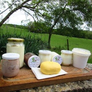 Yaourt nature entier