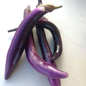 Aubergine exotique