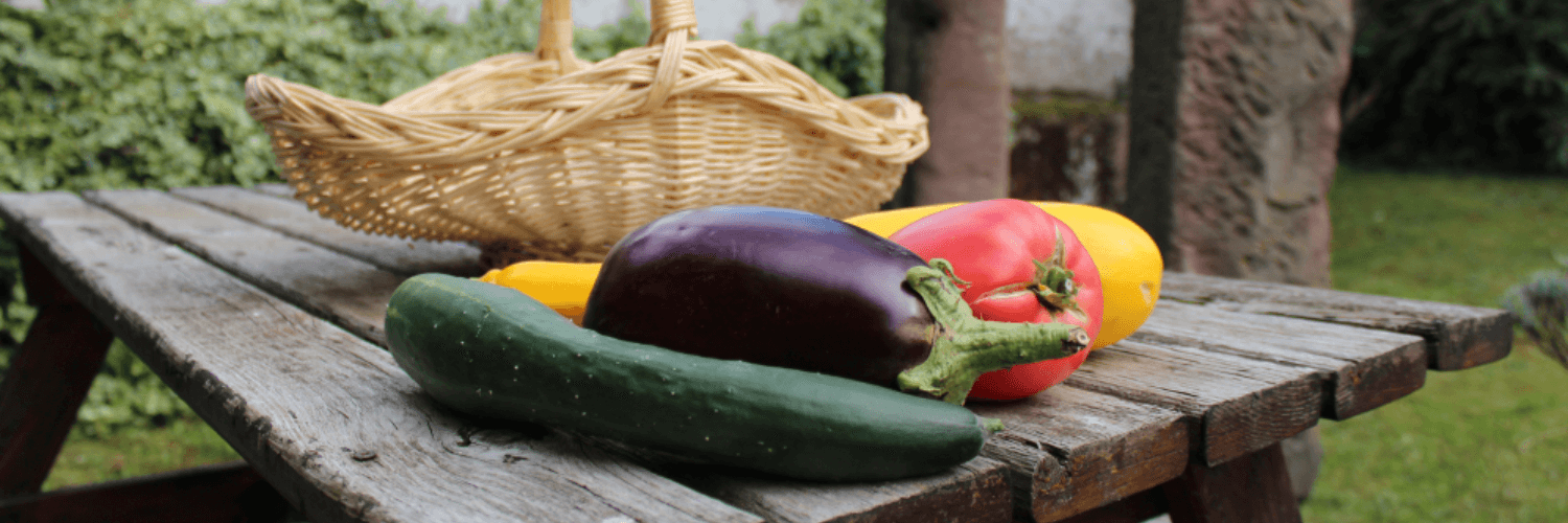 Bannière de Le Jardin d'Agnès
