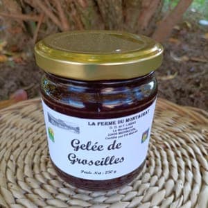 Gelée de Groseilles