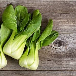 CHOUX PAK CHOI environ 350g