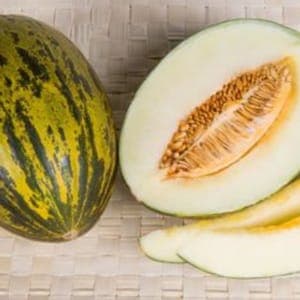 Melon piel de sapo