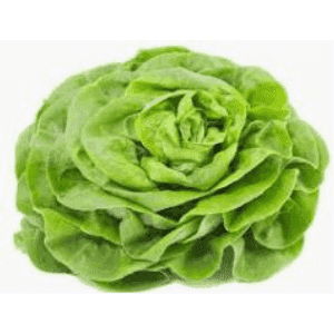 Salade